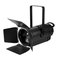 WW CW Fresnel Spotlight